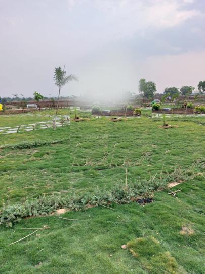 Bhashyam RRR County Main Image 1