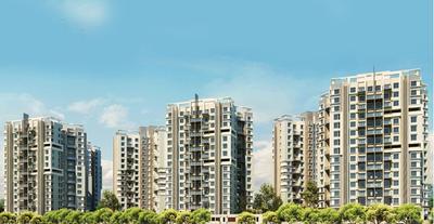 Kumar Corp Princetown Royal B2