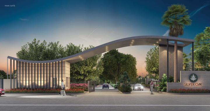 Gallery Cover Pic of Silver Oak