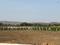 The Palatial Farms Elevation 1