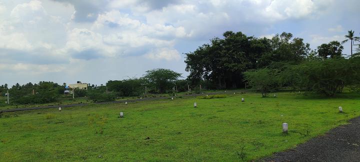 Vanavd Sri Varaman Nagar Main Image 1