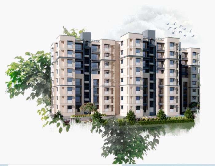 Luxora Birch Main Image 1