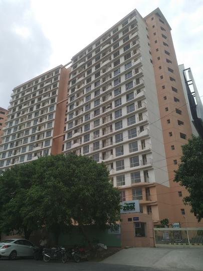 Gallery Cover Pic of Logix Blossom Zest