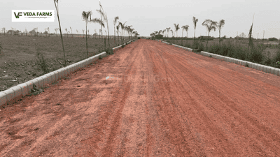 Veda Farm Elevation 1