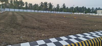 Raju Gem Field Phase II