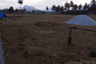 Pleasure Grape Garden Project Images