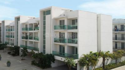 Project Image of 1646 Sq.ft 3 BHK Apartment / Flat for sale in New Chandigarh for Rs. 13000000
