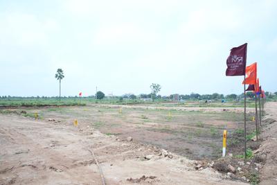 Residential Plot