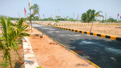 Asrs Hans Exotica Project Images