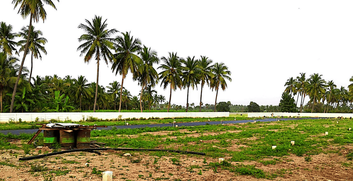 Gallery Cover Pic of Vettrivels Avenue