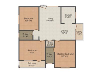 Brahma Cyprus Oak 2D 2