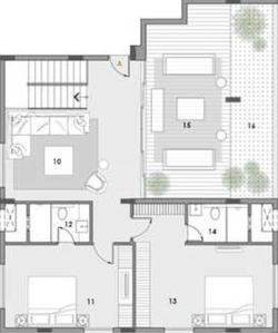 Ceebros Swara 2D 2