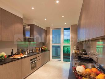 Project Image of 4000 Sq.ft 4 BHK Apartment / Flat for sale in DLF Phase 5 for Rs. 230000000