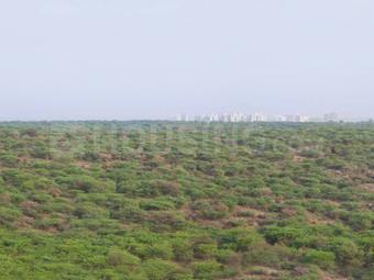 Project Image of 4000 Sq.ft 4 BHK Apartment / Flat for sale in DLF Phase 5 for Rs. 230000000