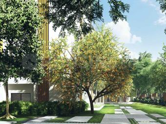 Project Image of 3330 Sq.ft 4 BHK Apartment / Flat for sale in Arakere for Rs. 63500000