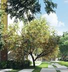 Project Image of 3330 Sq.ft 4 BHK Apartment / Flat for sale in Arakere for Rs. 63500000