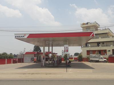 Bettadasanapura Petrol Pumps 1