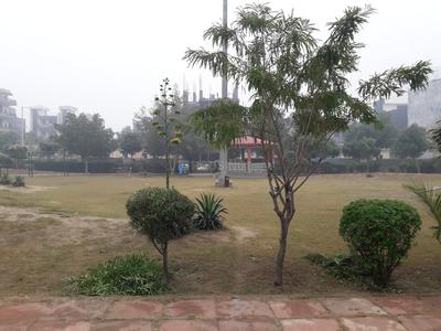 D Block Park