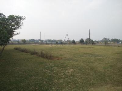 Sector 138 Parks 1