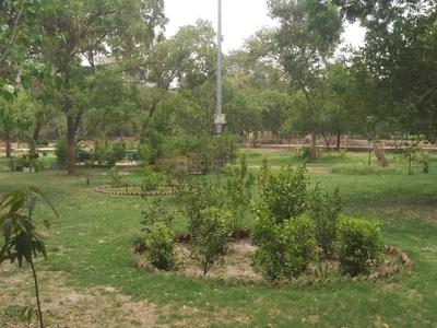 Surajmal Vihar Parks 1
