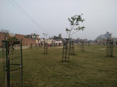Sorkha Parks 1