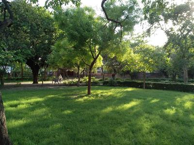 BABA WALA PARK