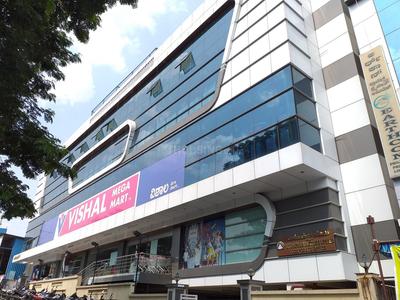 Kamala Nagar Groceries/Supermarkets 1