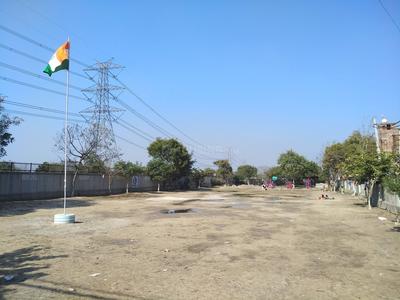 Sawda Parks 1