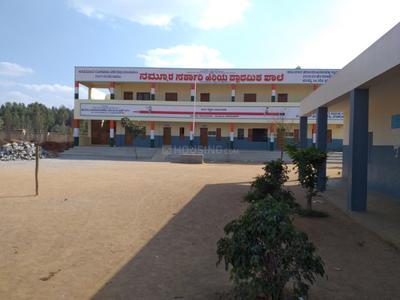 Halanayakanahalli Schools/Universities 2