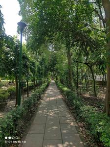 Pitampura Locality Images 1