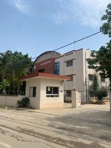 Manipal global