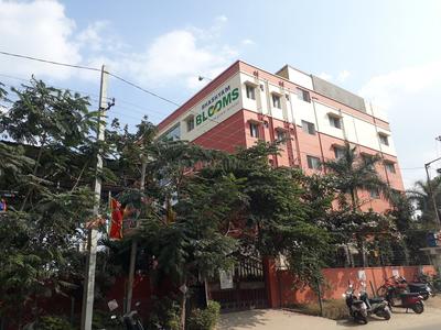 Ibrahim Bagh Schools/Universities 2