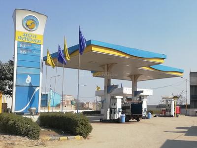 Sector 49 Petrol Pumps 1