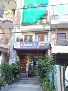 Subhash Nagar Locality Images 2