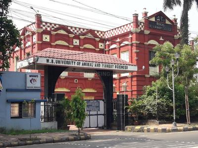 Tala Schools/Universities 2