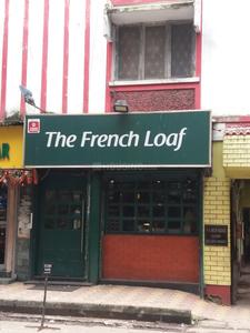 Alipore Food & Drinks 1