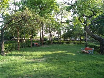 Central park