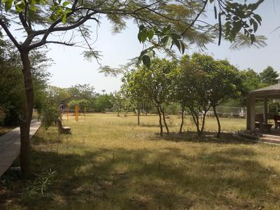 Park Four