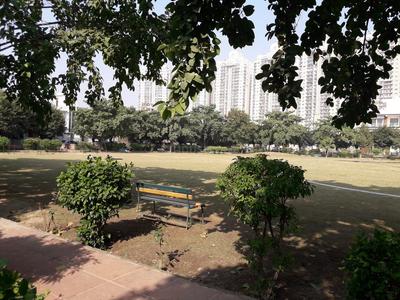Sector 105 Parks 1