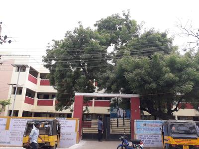 Government School
