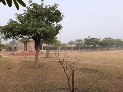Sector 28 Rohini Parks 1