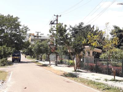 D Group Employees Layout Parks 1