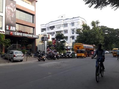 Anna Nagar Food & Drinks 1