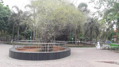 Nesapakkam Parks 1