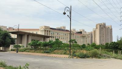 Sector 49 Locality Images 1