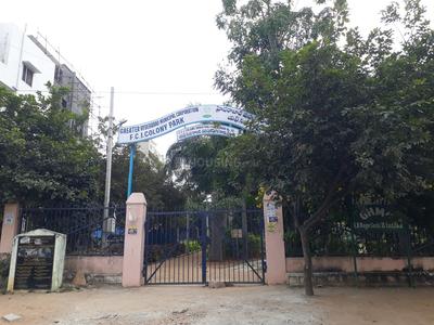 Chintalakunta Parks 1