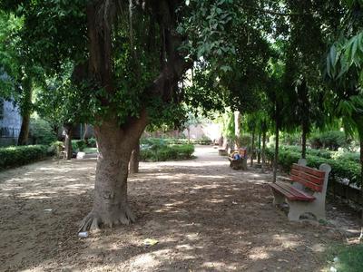 Haiderpur Parks 1