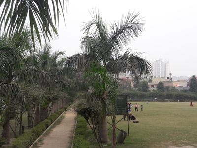 Sector 49 Parks 1