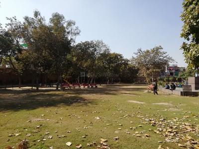 Old Faridabad Parks 1