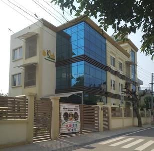 Sector 41 Schools/Universities 1